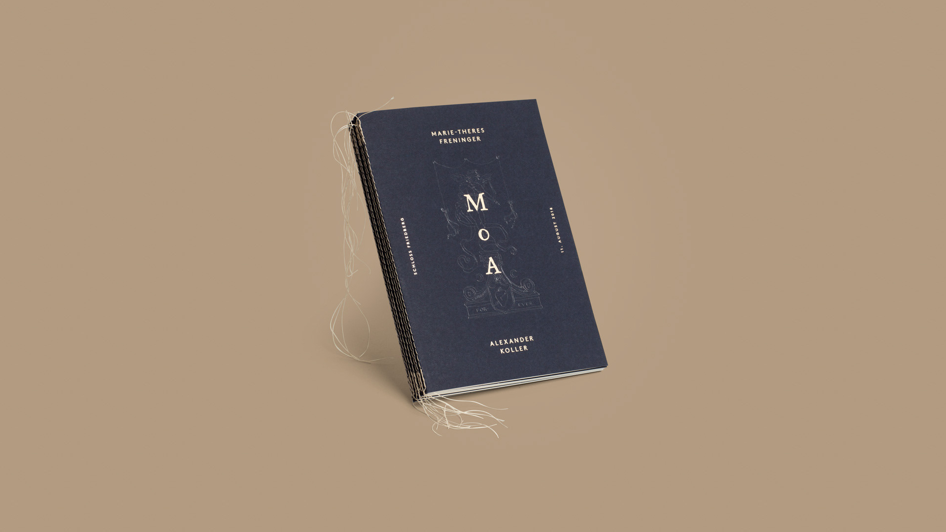 Colova Portfolio Image